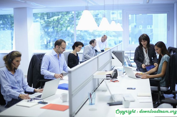 How Does The Pareto Principle Work? Increase Your Productivity