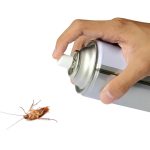 Get rid of cockroaches quickly