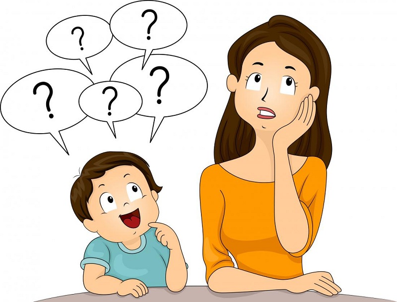 Why Do You Need Them? Children’s Questions That Put Adults In A Dead End!