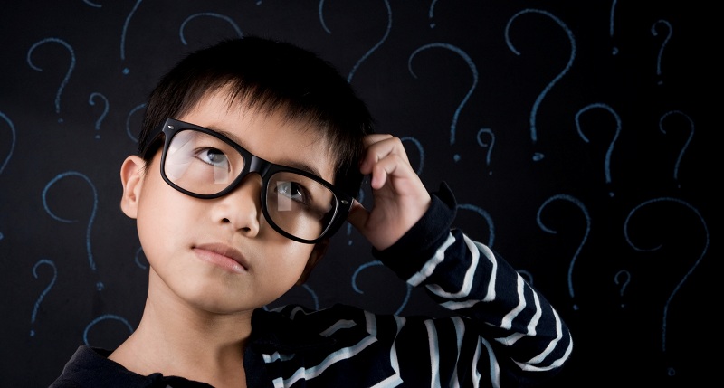 Why Do You Need Them? Children’s Questions That Put Adults In A Dead End!