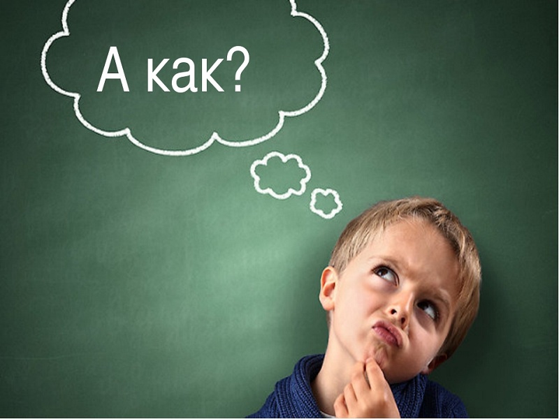 Why Do You Need Them? Children’s Questions That Put Adults In A Dead End!