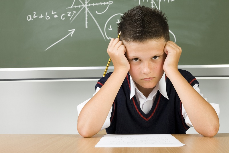 Why Do You Need Them? Children’s Questions That Put Adults In A Dead End!