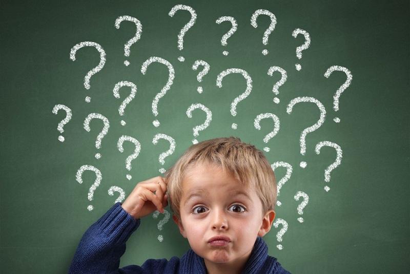 Why Do You Need Them? Children’s Questions That Put Adults In A Dead End!