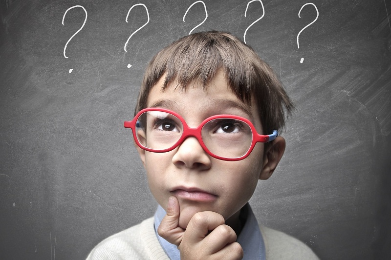 Why Do You Need Them? Children’s Questions That Put Adults In A Dead End!